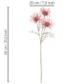 Kunstbloemen speldenkussen protea bloeiende tak 65cm 3 stuks | Floristik24.nl