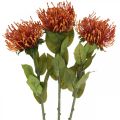 Floristik24 Speldenkussen Exotische Kunstbloem Oranje Leucospermum Protea 73cm 3st
