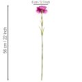 Kunstanjer, tweekleurig, lange steel 56 cm, bosje van 8 | Floristik24.nl