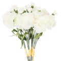 Floristik24 Boeket kunstmatige anjers, witte kunstbloemen, decoratie, 4 bossen