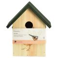 Floristik24 Nestkast pimpelmees vogelhuis hout naturel groen H20,5cm