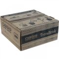 Floristik24 OASIS® TerraBrick™ plug-in compound composteerbaar 8st