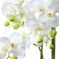 Floristik24 Orchidee wit met wereldbol 110cm