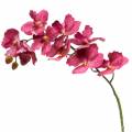 Floristik24 Orchidee kunsttak Roze H83cm