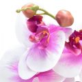 Floristik24 Orchidee Kunst Phalaenopsis 4 Bloemen Wit Roze 72cm