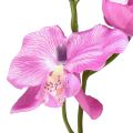 Floristik24 Orchidee Phalaenopsis kunst 6 bloemen paars 70cm