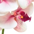 Floristik24 Orchidee Phalaenopsis kunst 9 bloemen wit fuchsia 96cm