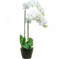 Floristik24 Kunstorchideeën voor in de pot wit 80cm