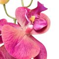 Floristik24 Kunstorchidee Phalaenopsis Orchidee Fuchsia 78cm