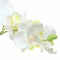Floristik24 Orchideeën wit in pot kunstplant H35cm