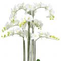 Floristik24 Orchidee wit op een bol van 118cm
