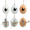 Floristik24 Paasdecoratie, kippeneieren om op te hangen, decoratieve eieren, veren en kip, bruin, blauw, wit set van 6