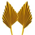 Palm speer geel 65st