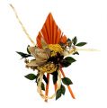 Floristik24 Palmspear mini oranje 100st