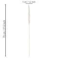 Gedroogde pampasgrasbloemen, gebleekt, 70 cm, 15 stuks | Floristik24.nl