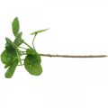 Floristik24 Peperomia Groene kunstplant met bladeren 30cm