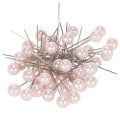 Floristik24 Parel Nietstiften Roze Ø10mm 60mm