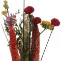Floristik24 Droogbloemenboeket met weidebloemen roze DIY set H30-35cm