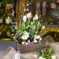 Floristik24 Planter, decoratieve doos, houten kist met handvatten, knutseldoos Shabby Chic L25cm H10cm