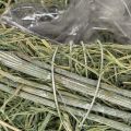 Decoratief hartje van natuurlijk gras met folie-inzetstuk, 14 cm, 2 stuks | Floristik24.nl