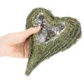Plantenhart gemaakt van natuurlijk materiaal met folie-inzetstuk, 22 cm, 2 stuks | Floristik24.nl