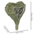 Natuurlijk plantenhart voor bloemschikken met folie, 25 cm | Floristik24.nl