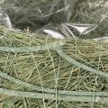 Hartvormige schaal van natuurlijk gras met plantfolie, 38 cm | Floristik24.nl
