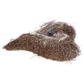 Hartvormige plantenbak van