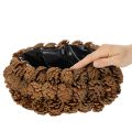 Ronde plantenbak in de vorm van een dennenappel, 30 cm | Floristik24.nl