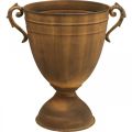 Floristik24 Plantenpot roestlook kopvaas metaal Ø22,5cm H32,5cm