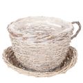 Floristik24 Mandje met schoteltje als decoratie, grote tafeldecoratie 34 cm