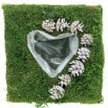 Plantenkussen hart mos en kegels, wit gewassen 25 × 25cm