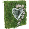 Plantenkussen hart mos en kegels, wit gewassen 25 × 25cm