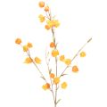 Floristik24 Kunstmatige Chinese lampionplant, Physalis-tak met bloesem, 95 cm