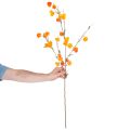 Kunstmatige Chinese lampionplant, Physalis-tak met bloesem, 95 cm | Floristik24.nl