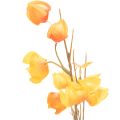 Kunstmatige Chinese lampionplant, Physalis-tak met bloesem, 95 cm | Floristik24.nl
