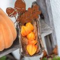 Floristik24 Physalis oranje geassorteerd 22 stuks decoratieve kunstbloemkelken
