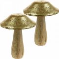 Floristik24 Paddenstoel mangohout goud, naturel deco paddenstoelen groot Ø12cm H15cm 2st