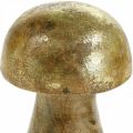 Floristik24 Paddenstoel mangohout goud, natuurlijke decoratieve paddenstoel Ø6cm H10cm 4st