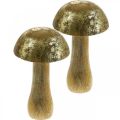 Floristik24 Paddenstoel mangohout goud, natuurlijke decoratieve paddenstoel Ø9cm H15.5cm 2st