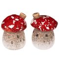 Floristik24 Decoratie voor een huis met miniatuur vliegenzwammen (6 cm, 2 stuks)
