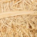 Bundels van natuurlijke raffia voor bloemschikken en cadeauverpakking, 1 kg | Floristik24.nl