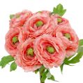 Floristik24 Ranunculus roze-roze 27cm 8st