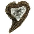 Floristik24 Wijnstokplant hart natuur 15cm x23cm x5cm 4st