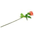 Floristik24 Rose kunstbloem zalm 67.5cm