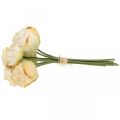 Floristik24 Kunstrozen, zijden bloemen, rozenbos crème wit L23cm 8st