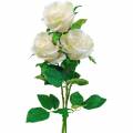 Floristik24 Witte roos op een steel Zijden bloem kunstmatige roos 3st