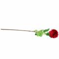 Floristik24 Rose kunstbloem rood 72cm