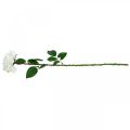 Floristik24 Witte roos nep roos op steel zijden bloem nep roos L72cm Ø13cm