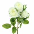 Floristik24 Rose wit 40cm